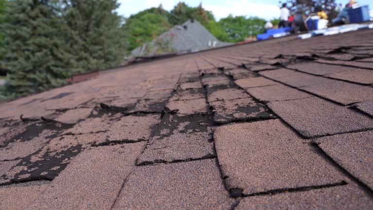 4 Ply Roofing in Chilton, WI